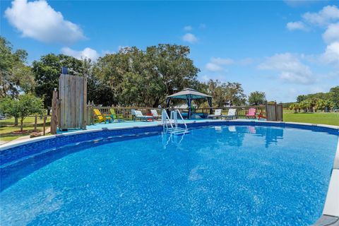 Tiny photo for 12651 SE County Road 337, Dunnellon, FL 34431 (MLS # OM704516)