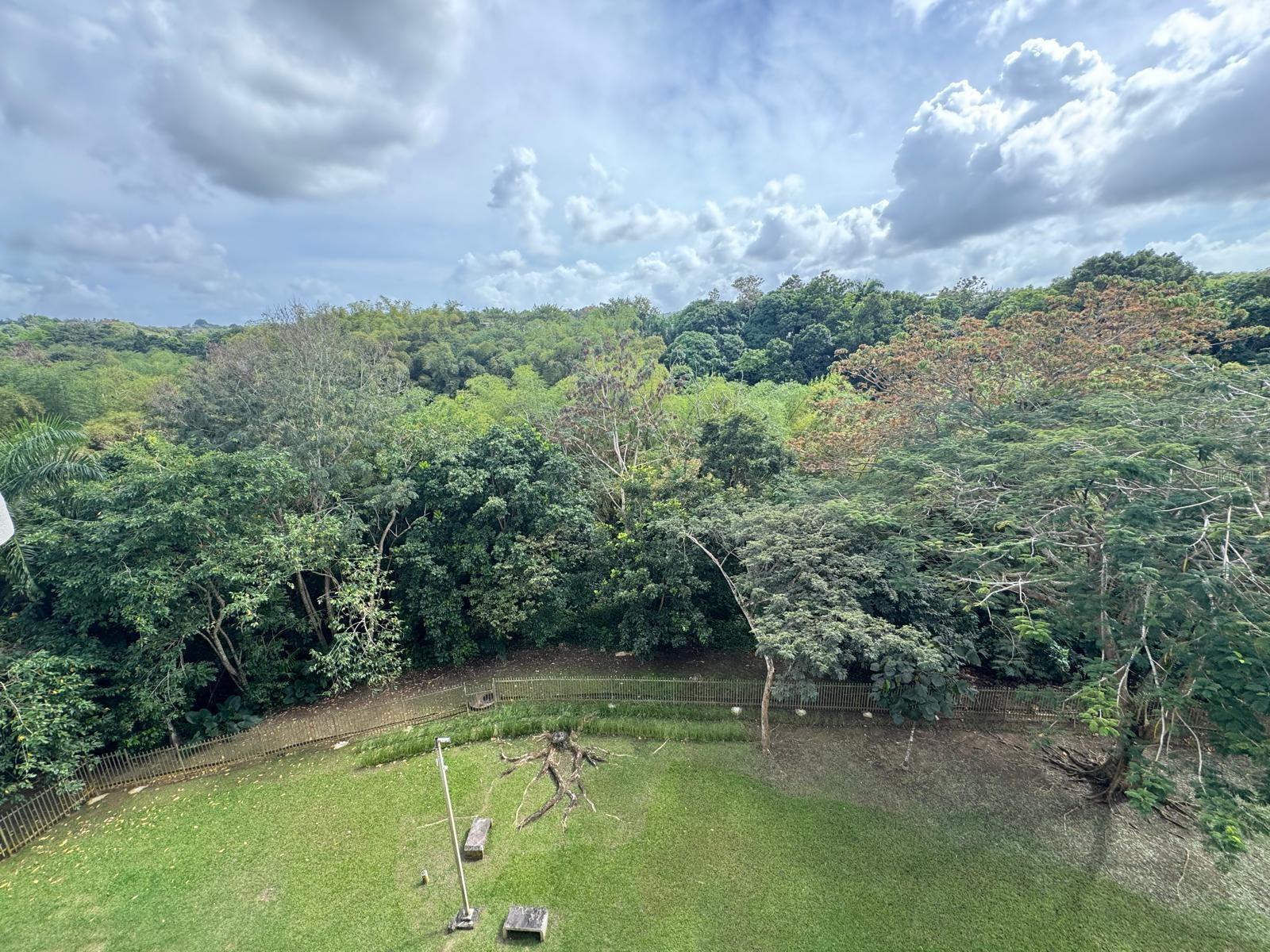 PASEO DEL BOSQUE - Residential