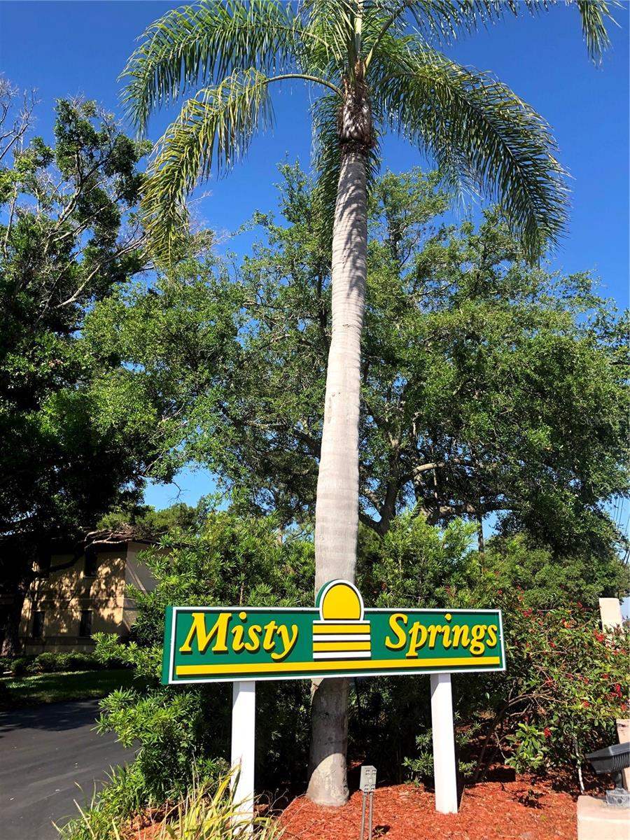 MISTY SPGS CONDO - Residential Lease