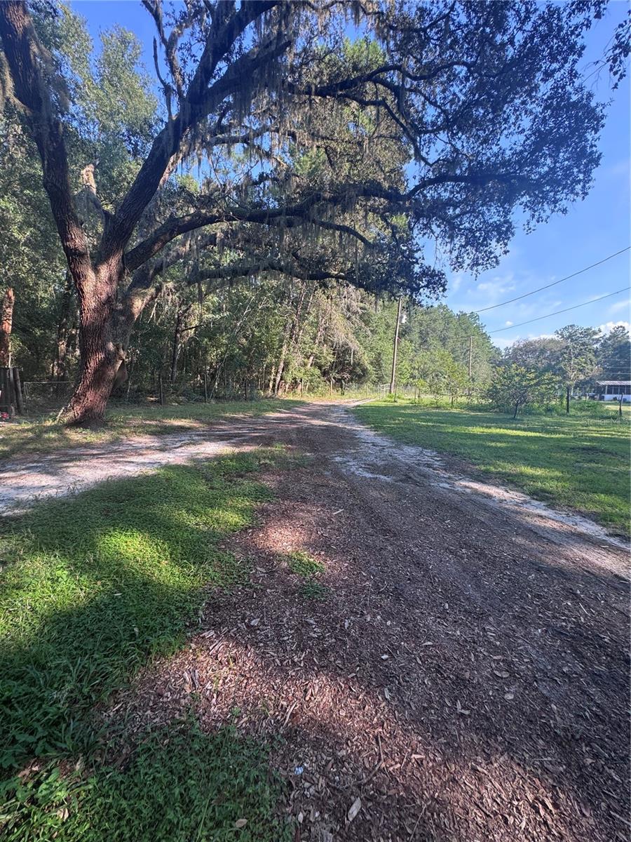 Looking for space, freedom, and opportunity? This 2.5 acre property is perfect for those who dream of country living with plenty of room to grow. Bring your animals whether it’s cows, chickens, goats, or horses and enjoy the wide-open land for farming projects, gardening, or even building your dream home. The property already features fruit trees, including lemon and mandarin, giving you a head start on enjoying fresh produce right from your own yard. Even better impact fees are already paid, saving you thousands and making it easier to start building right away. Whether you’re looking to create a homestead, start a mini-farm, or simply enjoy the privacy of wide-open land, this property offers the perfect foundation for your vision. Your future homestead is waiting don’t miss this opportunity and make an appointment today!