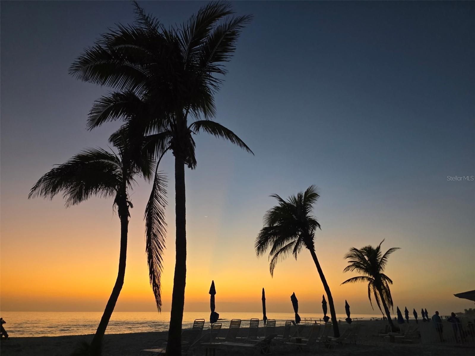 SEASIDE GARDENS REP - Residential Lease