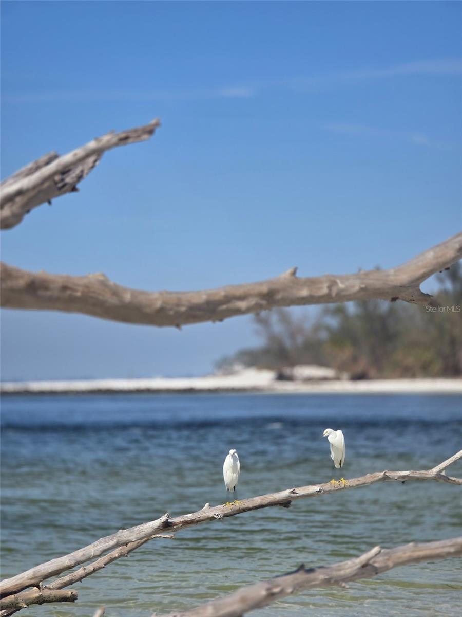 SEASIDE GARDENS REP - Residential Lease