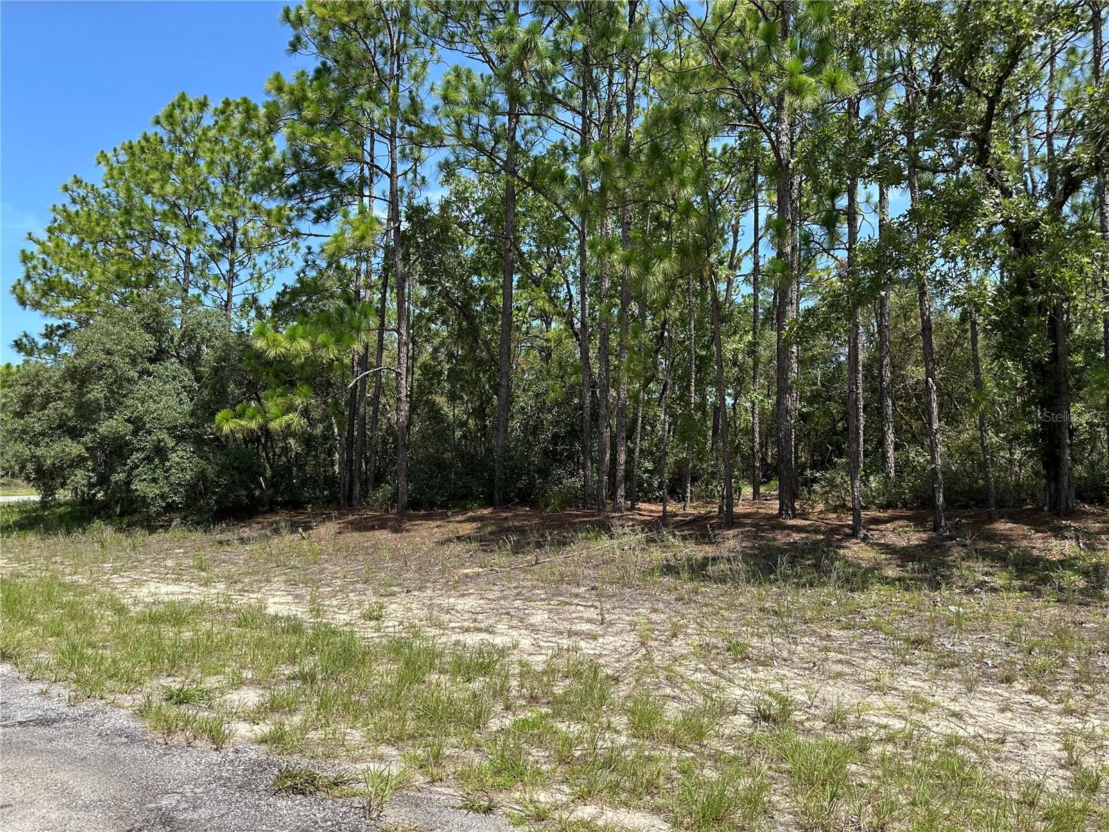 Great Corner lot in Citrus Springs. .82 acre Lot. Great location at the corner of Citrus Springs Blvd and Firewood Loop. Go take a look before it is gone.