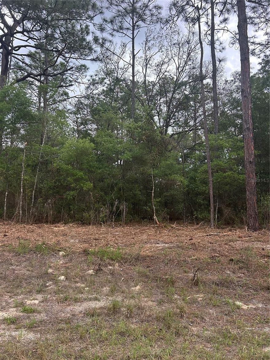 !!!!!!!!!!!!!!!!! GREAT OPPORTUNITY!!!!!!!!!!!!!!!!!!!!!! 
To own a residential lot in growing area of Citrus Springs. Perfect to build your dream home or hold as investment. Conveniently located near schools, shopping, parks, and major roadways, while still offering a peaceful setting surrounded by nature. NO HOA.
