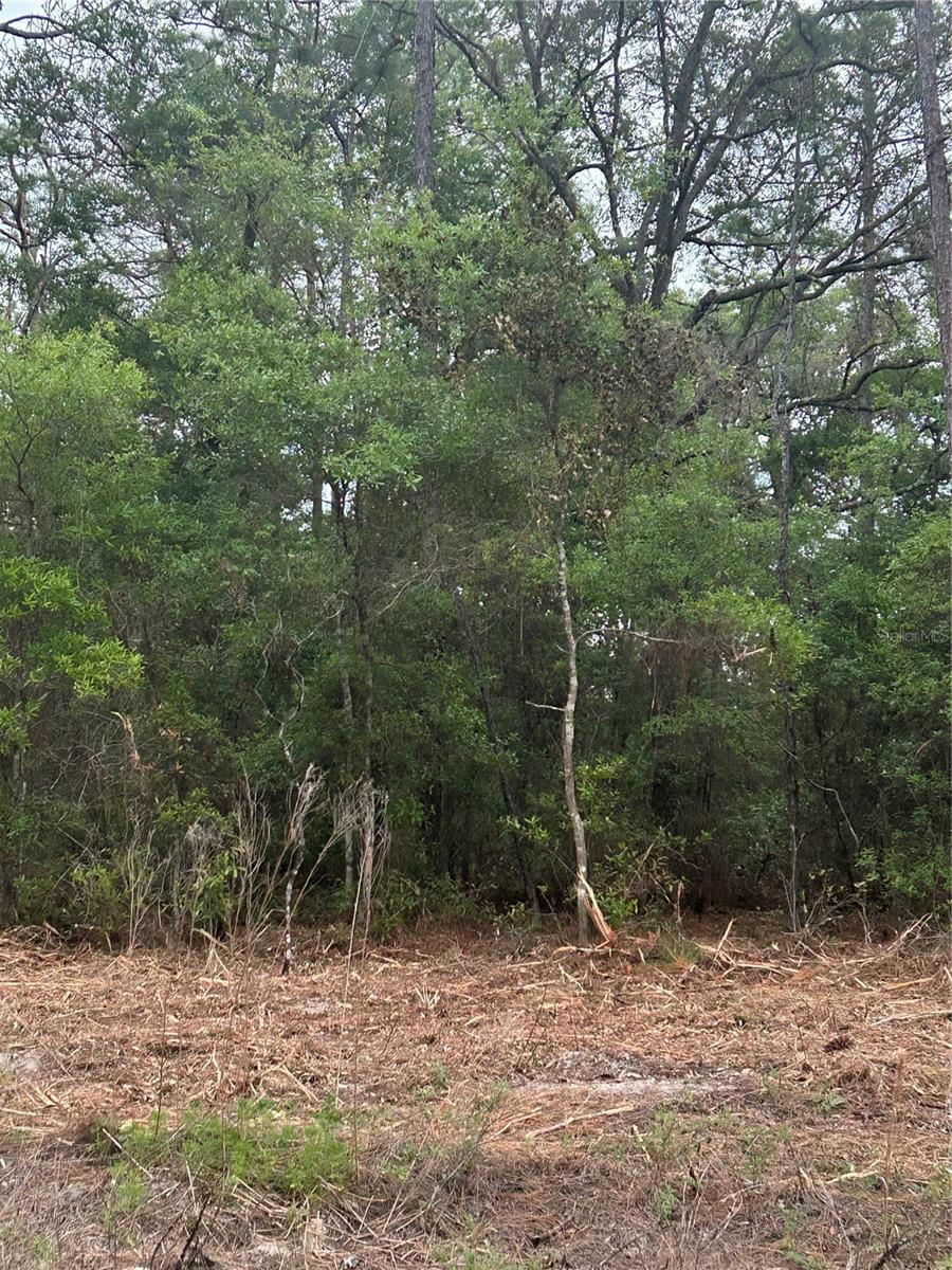 CITRUS SPGS UNIT 27 - Land