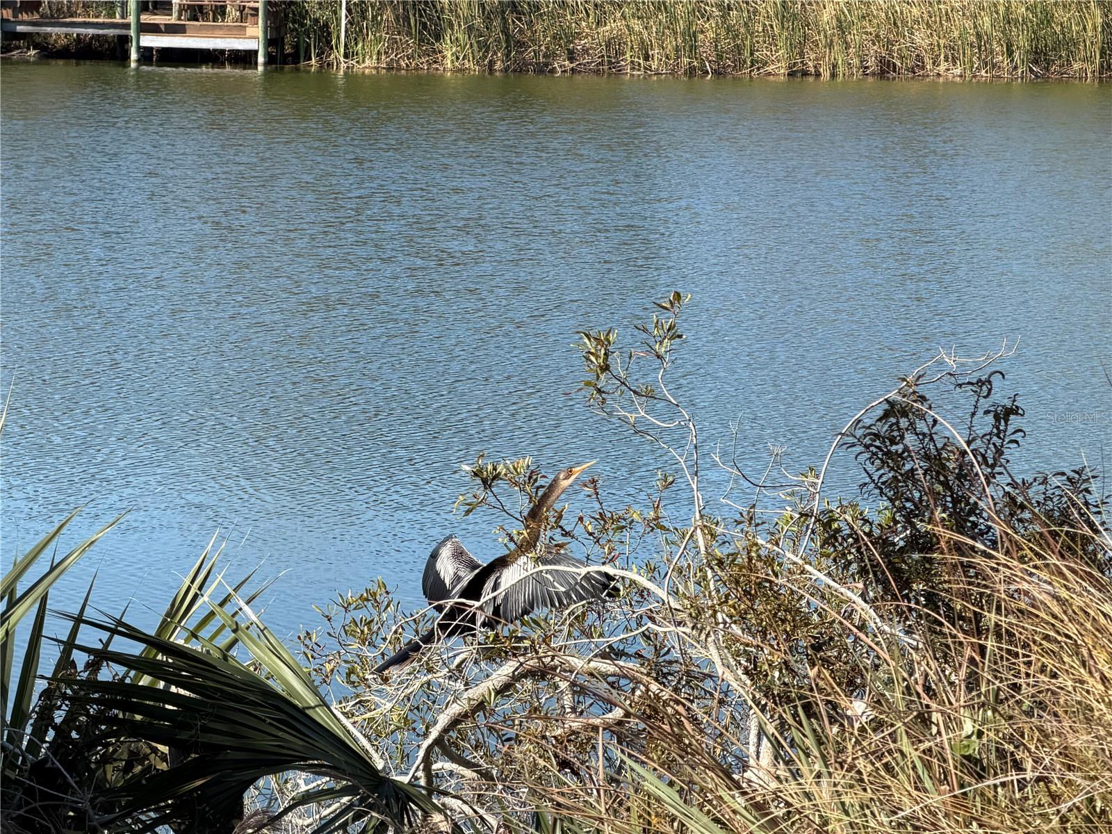 PALM COAST PLANTATION PUD UN 3 - Land