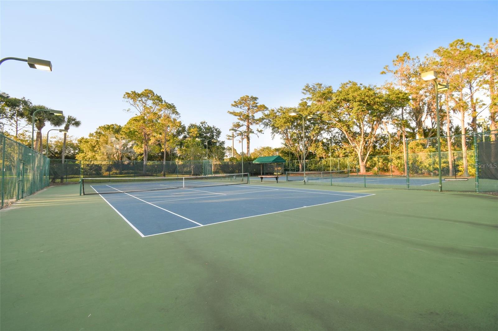 TAMPA PALMS - Residential