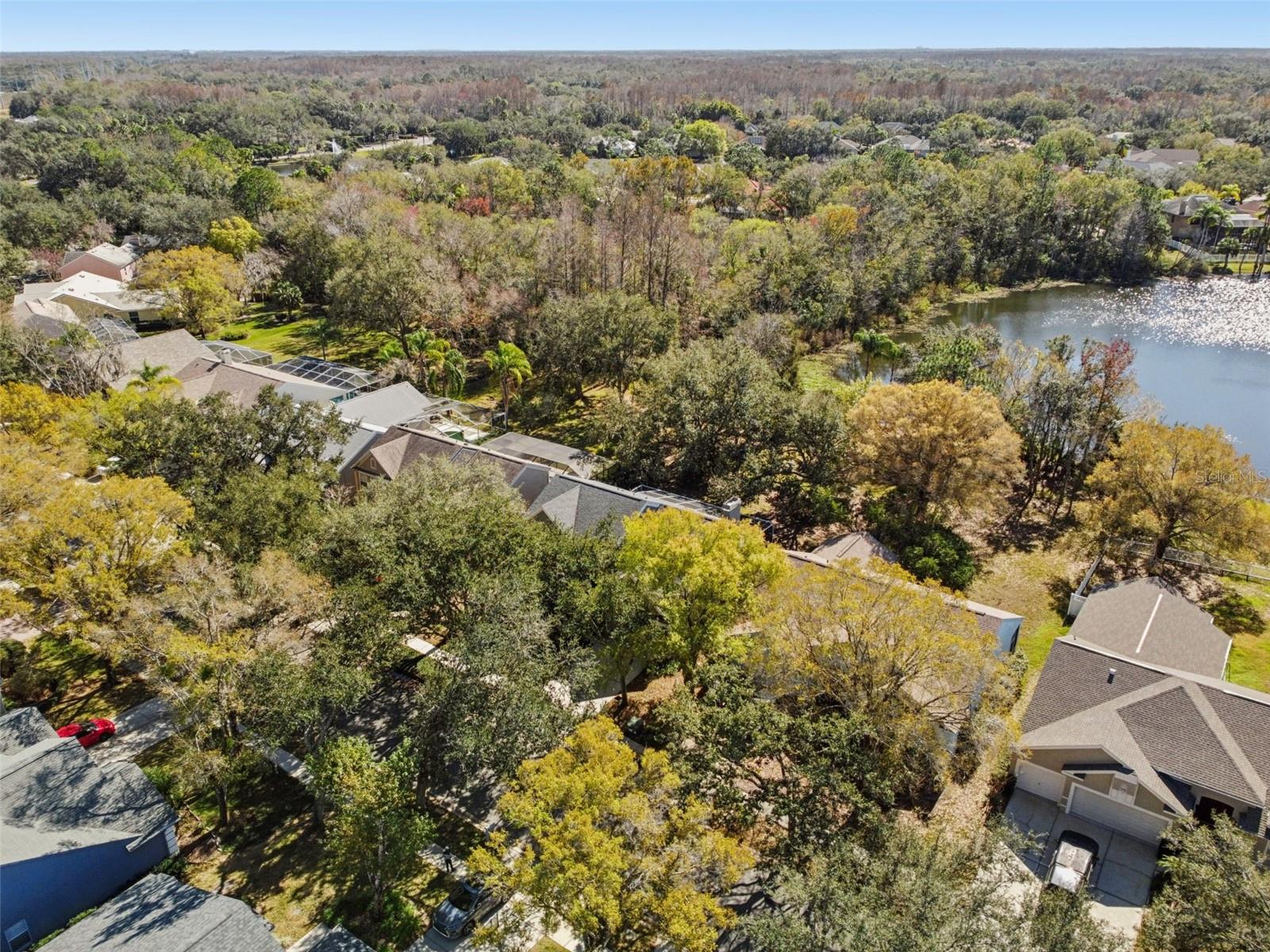 TAMPA PALMS - Residential