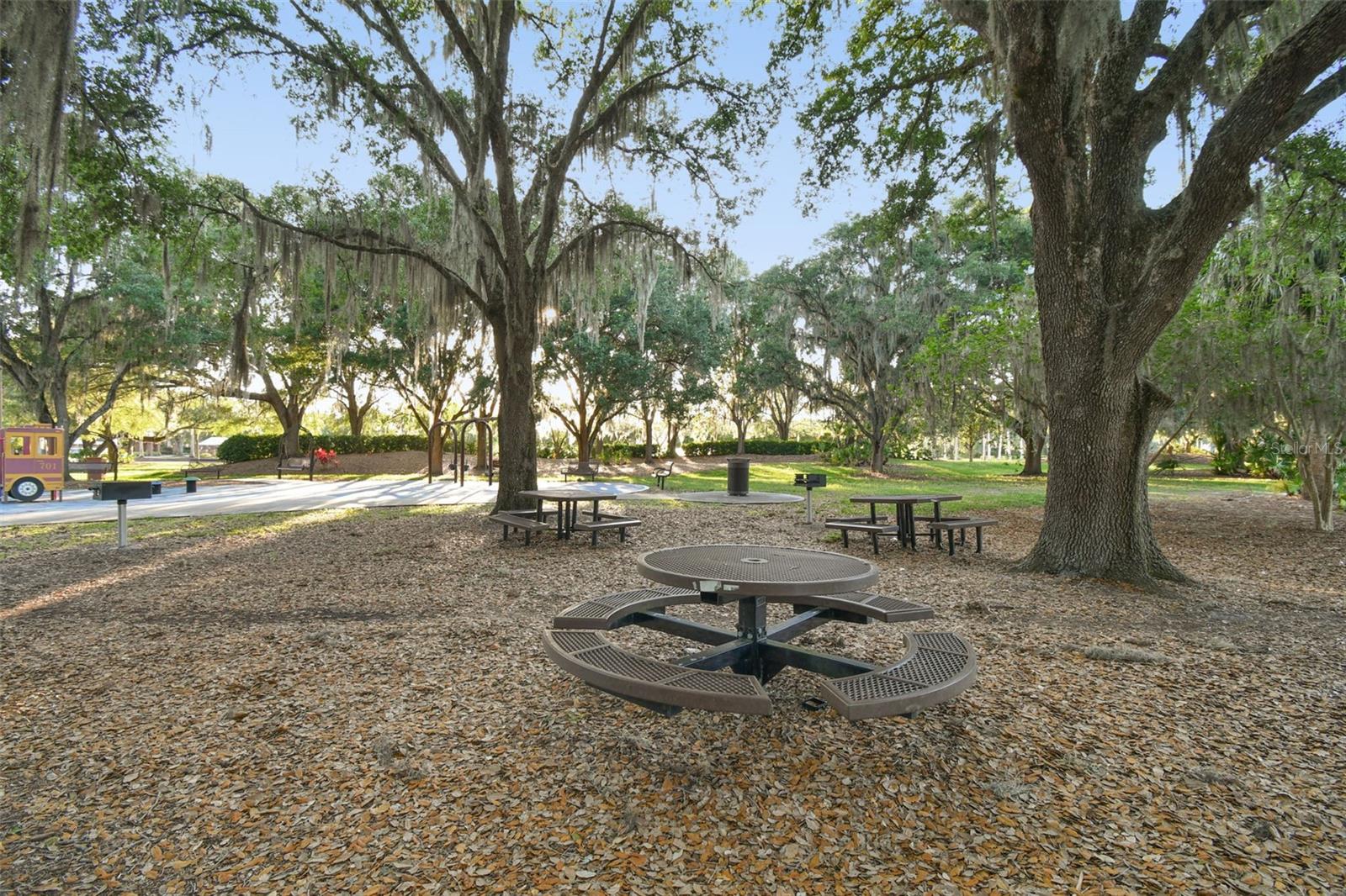 TAMPA PALMS - Residential