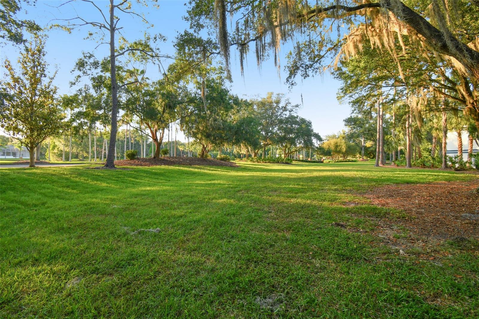 TAMPA PALMS - Residential