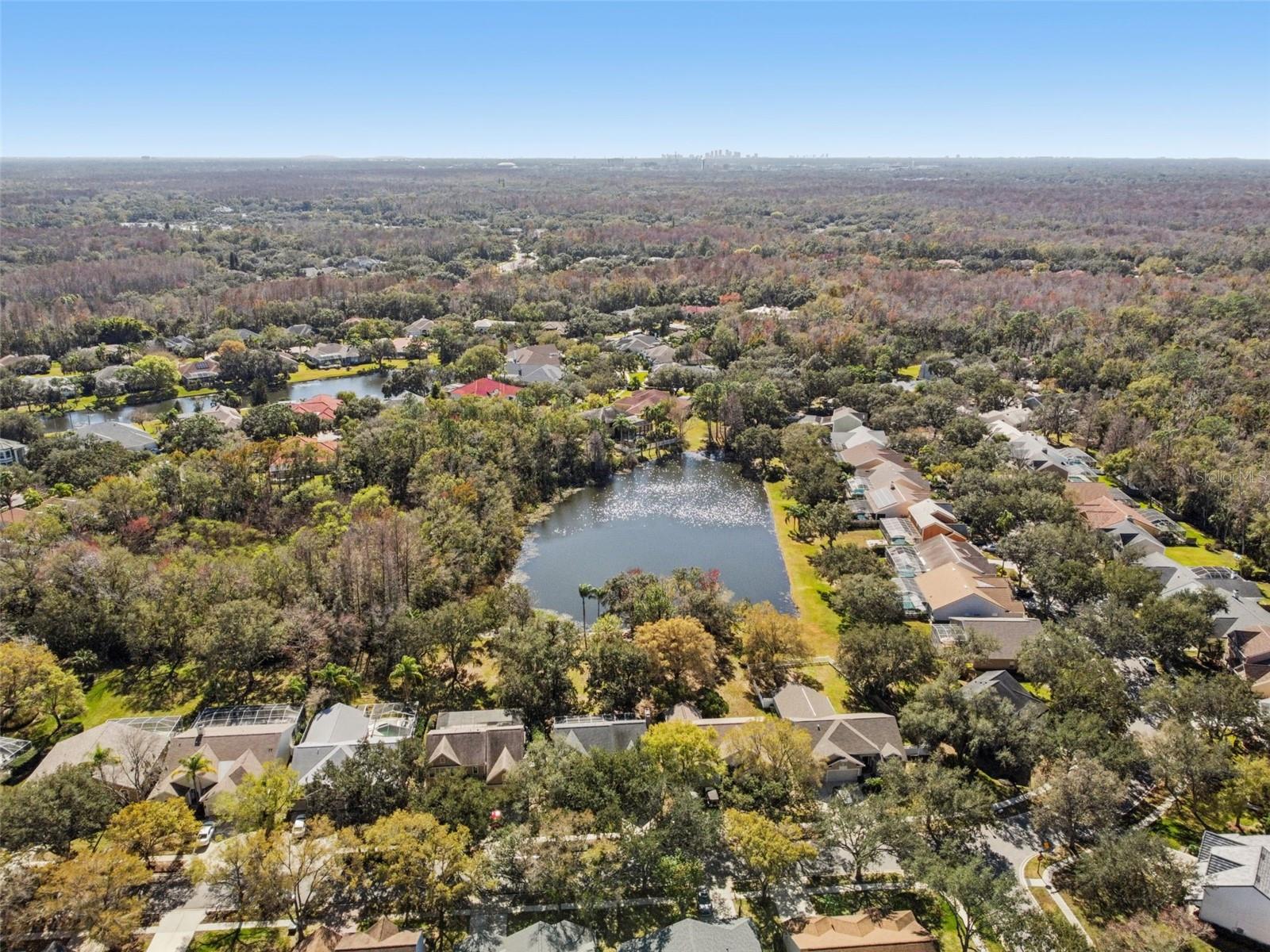 TAMPA PALMS - Residential