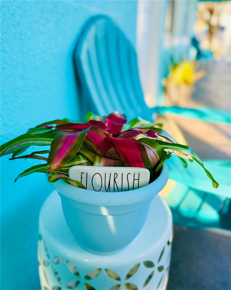 ST PETERSBURG BEACH REP - Residential Lease