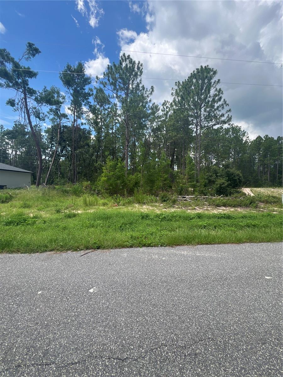 Incredible Opportunity in Marion Oaks- No HOA!
**Build your dream home on this beautiful 0.24 acre lot in the thriving community of Marion Oaks. Nestled on SW 132nd Place, this buildable lot features south-facing exposure, paved roads, and is surrounded by new construction homes-a clear sign of strong growth and future value.
**Enjoy no HOA fees and a prime location just minutes from HWY 484, HWY 200, and I-75, offering quick access to shopping, dining, schools, parks and medical facilities. With limited vacant lots remaining as development continues, now is the perfect time to secure your slice of Ocala.
**Don't miss out- this is your chance to invest in a fast-growing area with endless potential. Call today for more information!