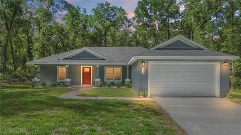 16 W BIMINI DRIVE DUNNELLON FL 34434
