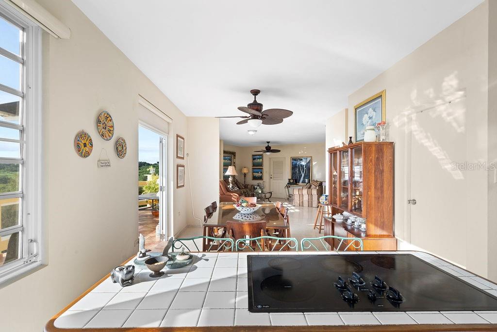 BUYE BO PEDERNALES - Residential