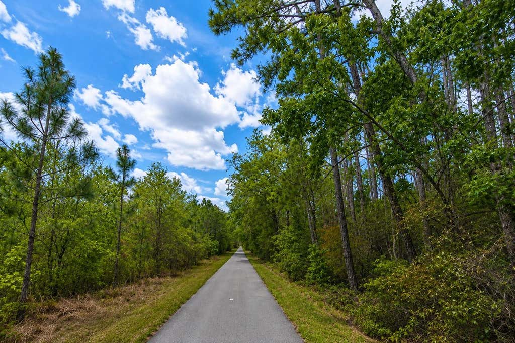 Photo of 00 Van Fleet Trail, Polk City, FL 33868 (MLS # O6432741)
