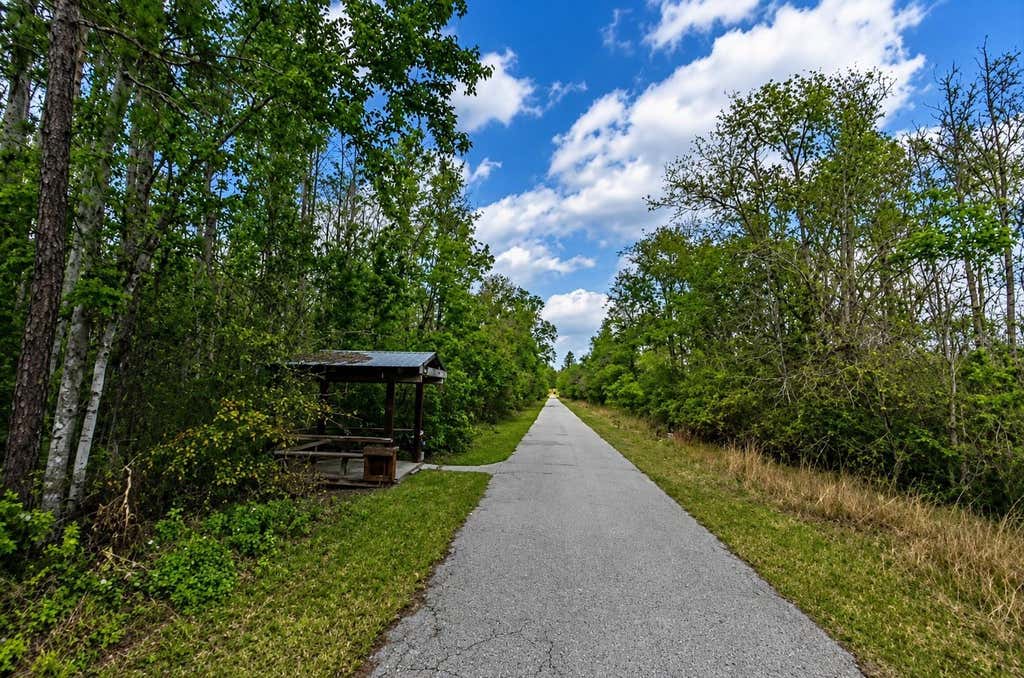 Photo of 00 Van Fleet Trail, Polk City, FL 33868 (MLS # O6432741)