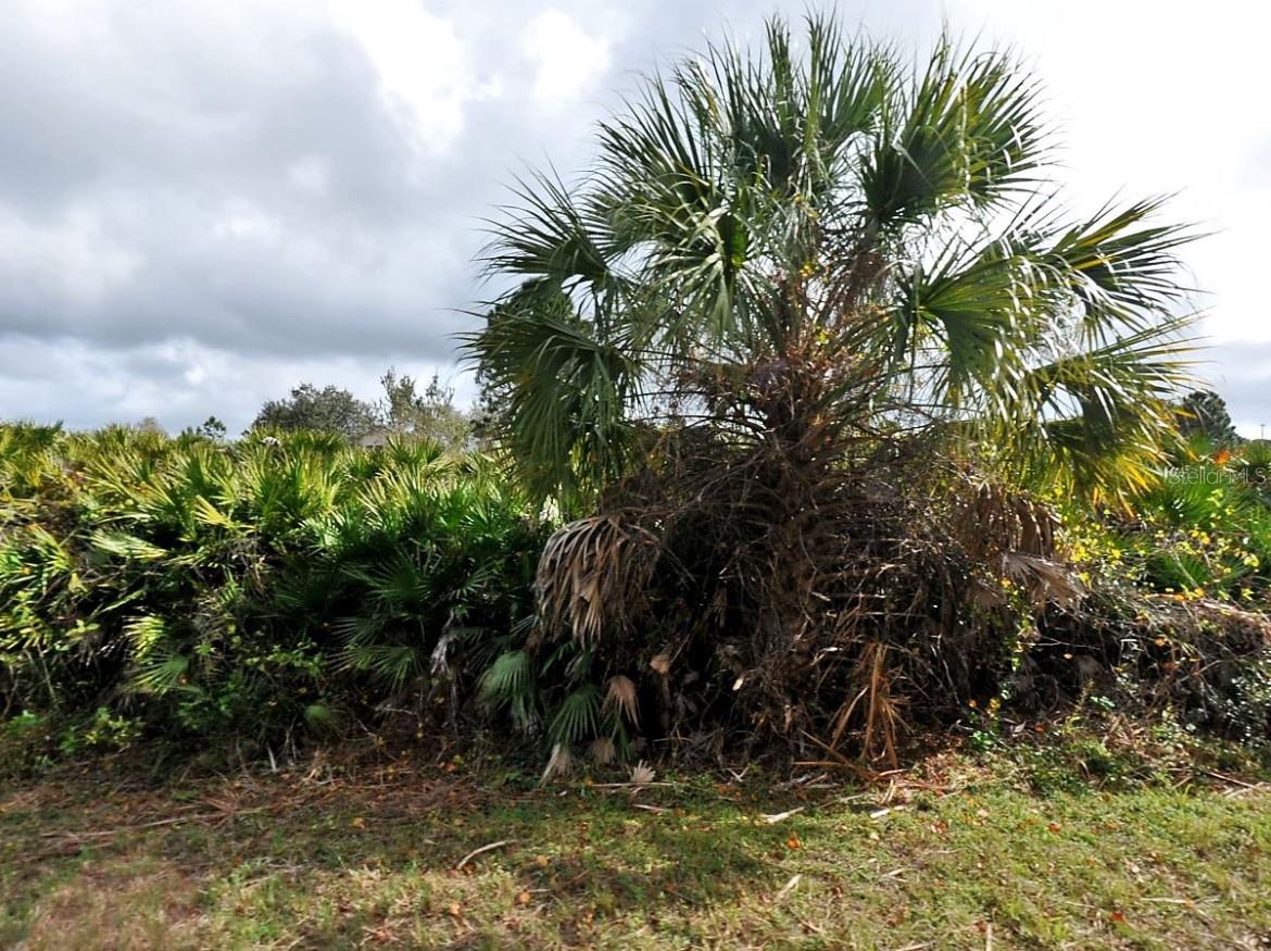 PORT CHARLOTTE SUB 14 - Land