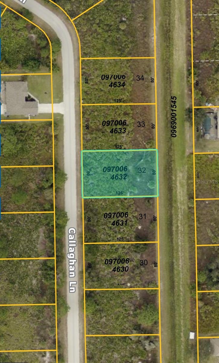 Looking for the perfect spot to build your dream home? This affordable lot sits on a quiet street, Approx. 5
miles from I-75, making your commute a breeze! Less than 20 miles to Venice Beach & Pier, with stunning sunsets waiting for you! Enjoy nearby shopping, dining, golf courses, and world-class fishing. Plus, sports fans will love being close to MLB Spring Training for the Braves, Red Sox, Orioles, Twins, and Rays! Priced to sell—great for investors! Don’t miss out on this opportunity! If this isn't the lot for you we have 20+ to choose from!