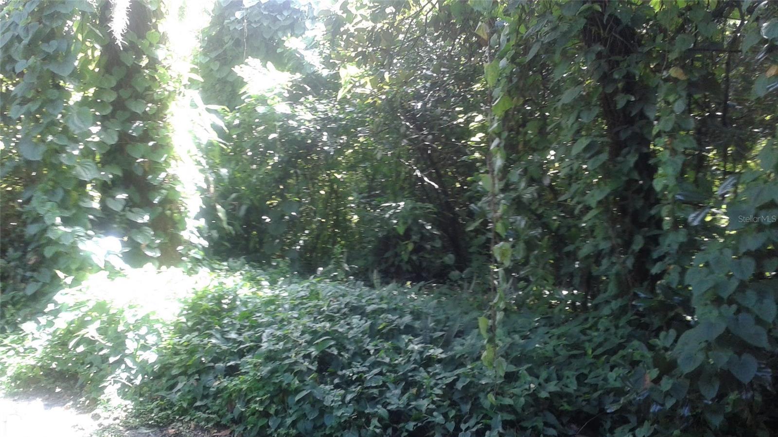 SHEOAH A CONDO SEC 2 - Residential