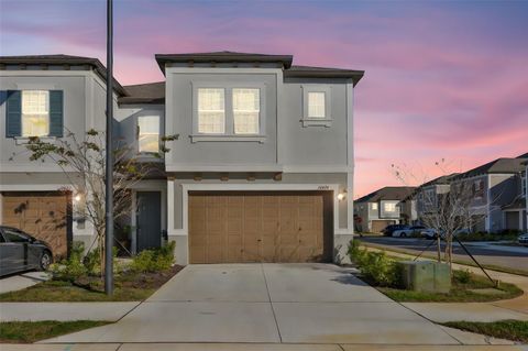 10824 FANNING SPRINGS COURT TAMPA FL 33647