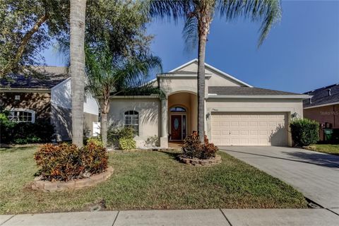 24607 VICTORIA WOOD COURT LUTZ FL 33559