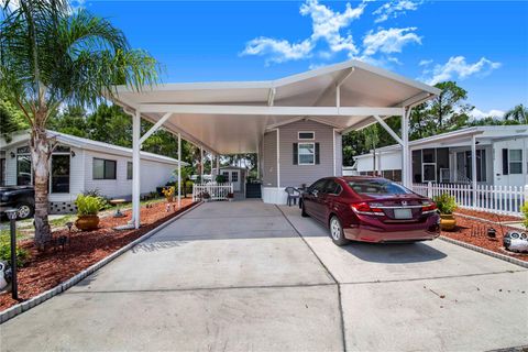 A home in HAINES CITY