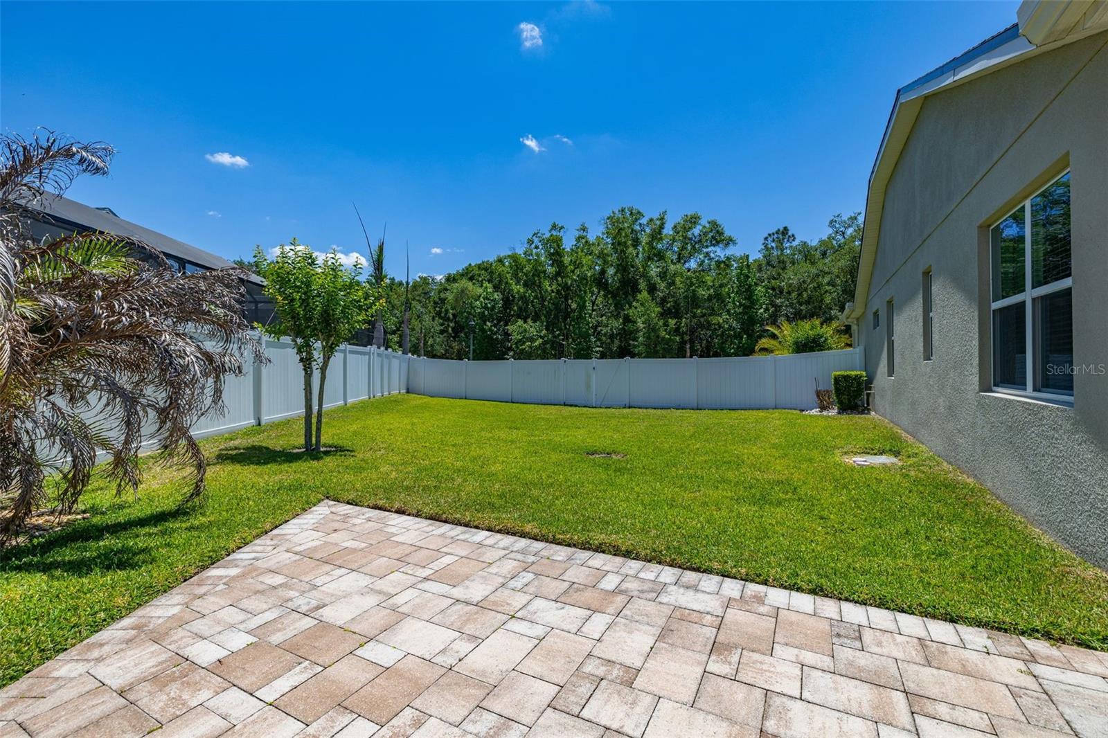 9164 PATRIMONIO LOOP