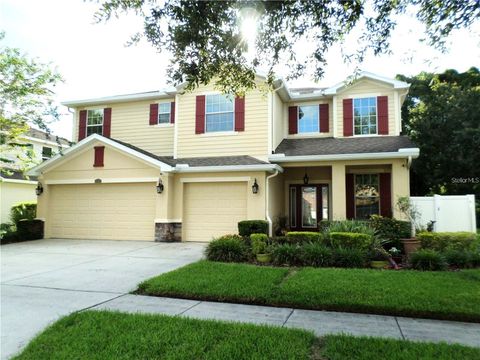 A home in LAND O LAKES