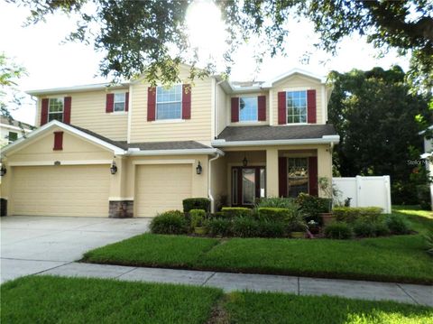 A home in LAND O LAKES