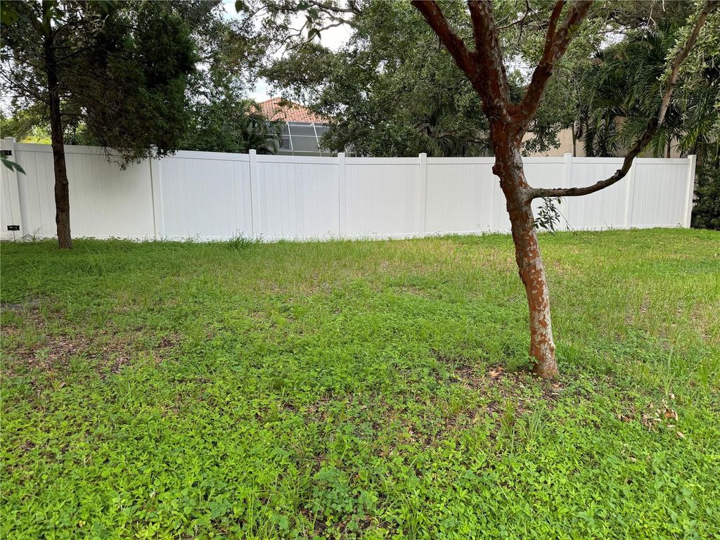 Photo of 3115 W San Pedro Street, Tampa, FL 33629 (MLS # TB8442160)