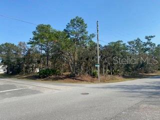 SUGARMILL WOODS CYPRESS VILLAGE - Land