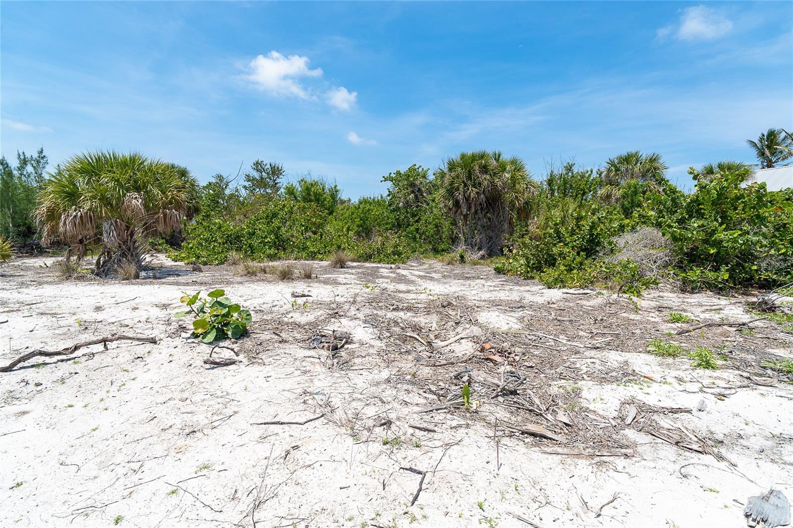 PALM ISLAND ESTATES - Land