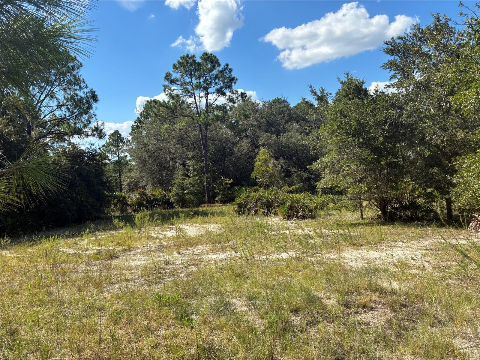 RAINBOW LAKES ESTATE - Land