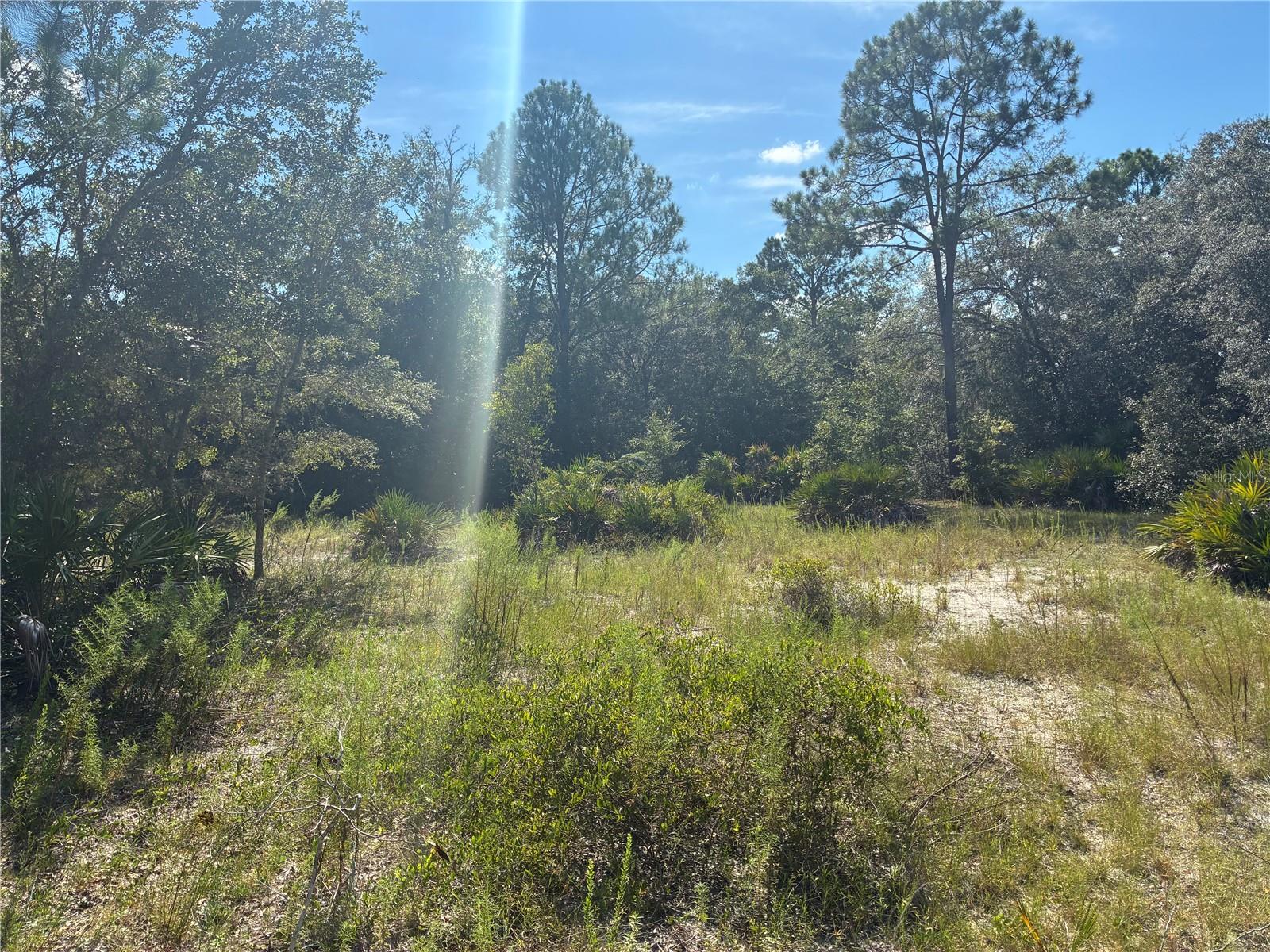 RAINBOW LAKES ESTATE - Land