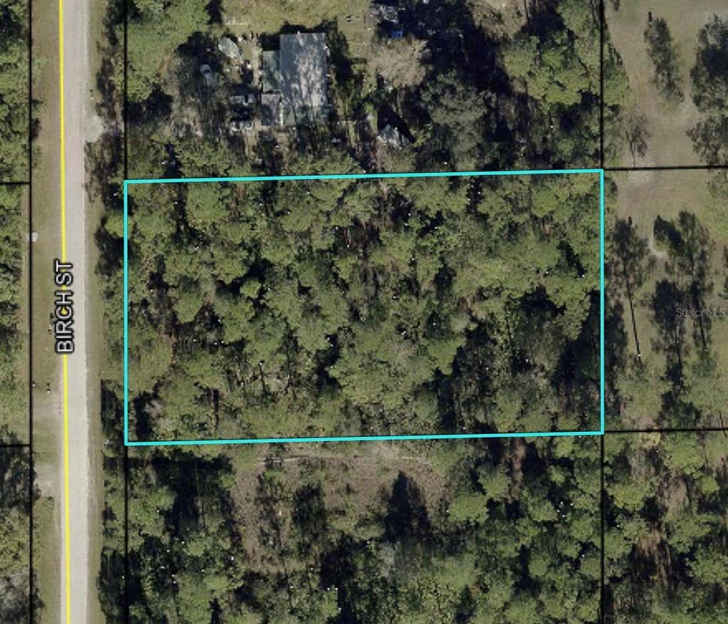 Photo of 1115 Birch Street, Bunnell, FL 32110 (MLS # FC319486)