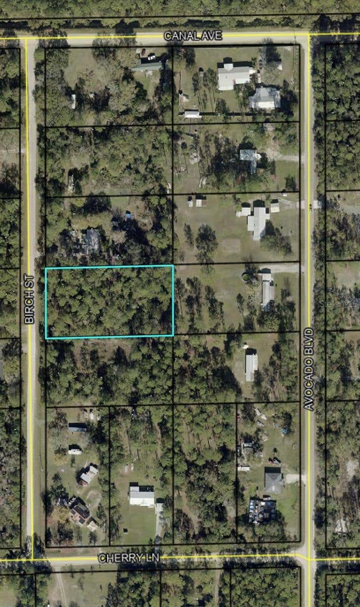 Photo of 1115 Birch Street, Bunnell, FL 32110 (MLS # FC319486)