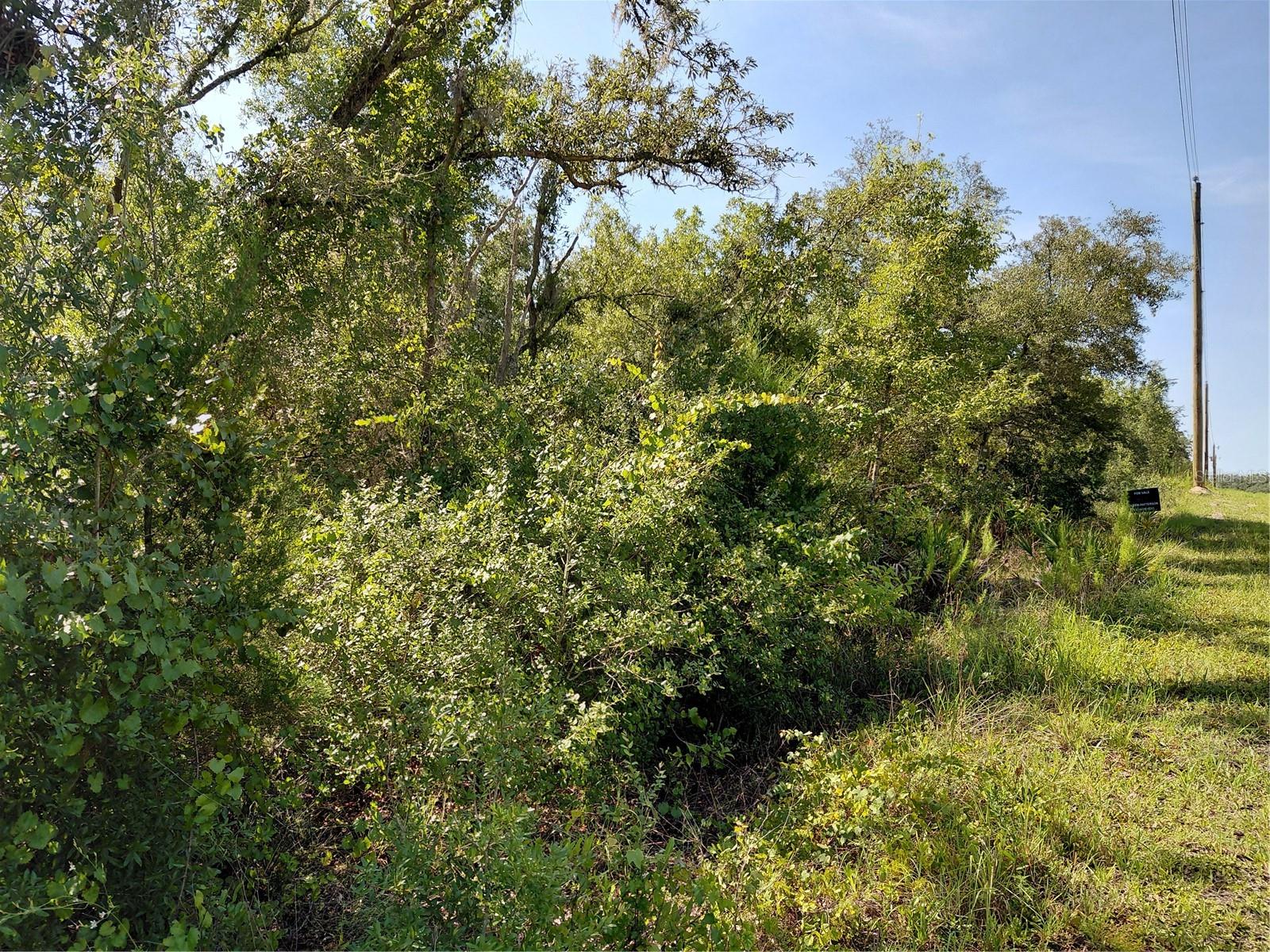 WHEYSTONE DRIVE