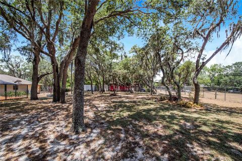 A home in LAKE WALES