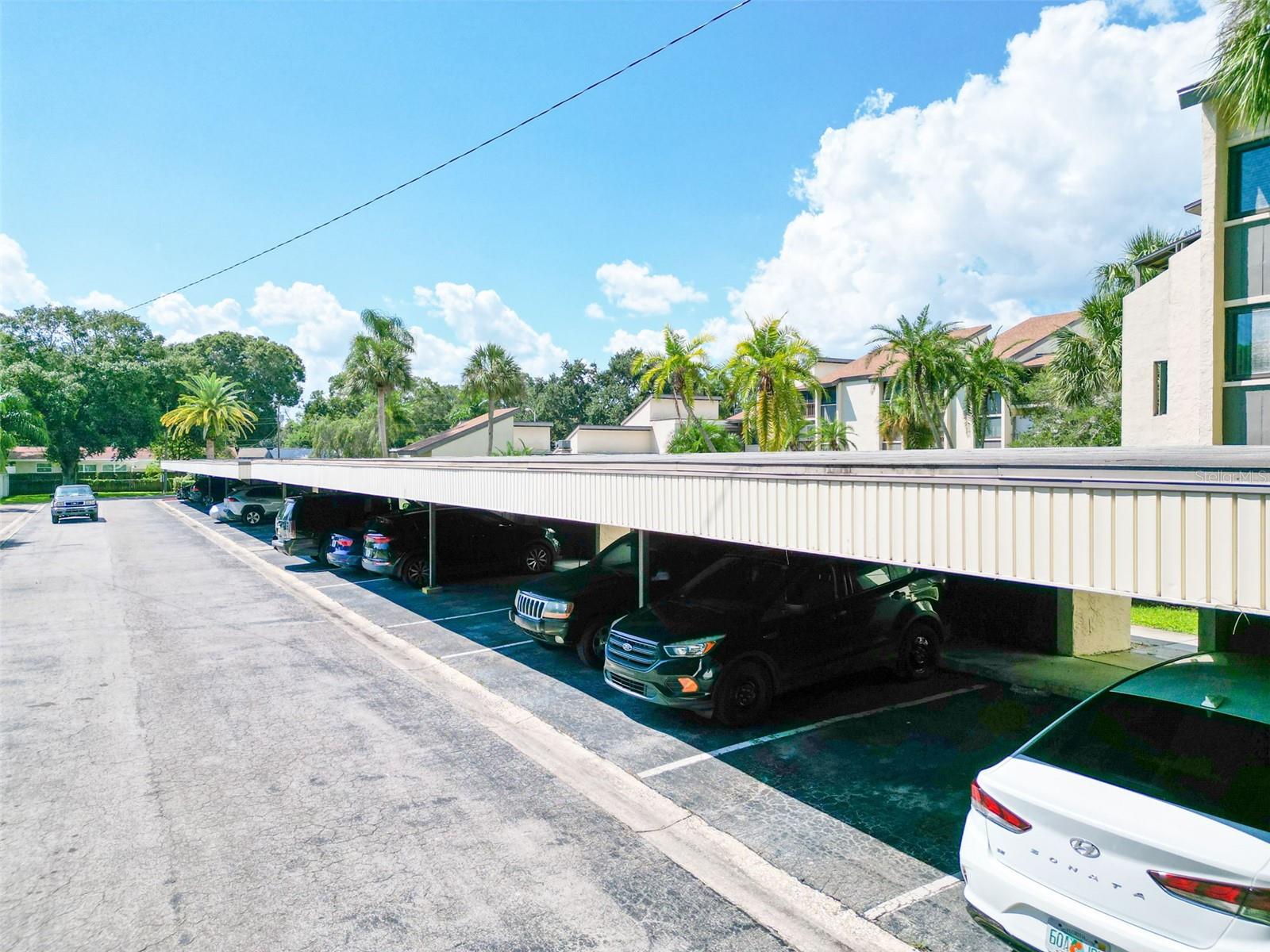 CHATEAU BELLEAIR CONDO - Residential