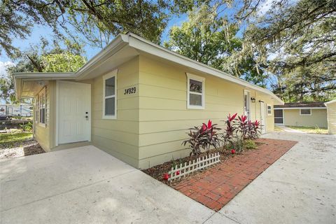 A home in FRUITLAND PARK