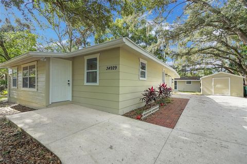 A home in FRUITLAND PARK