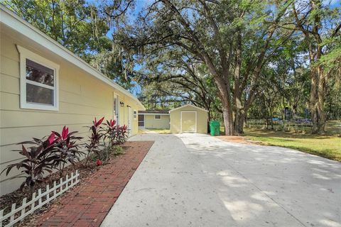 A home in FRUITLAND PARK