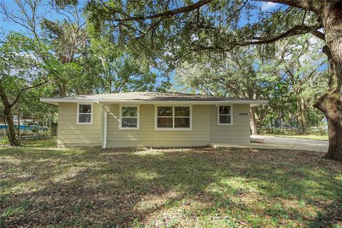 A home in FRUITLAND PARK