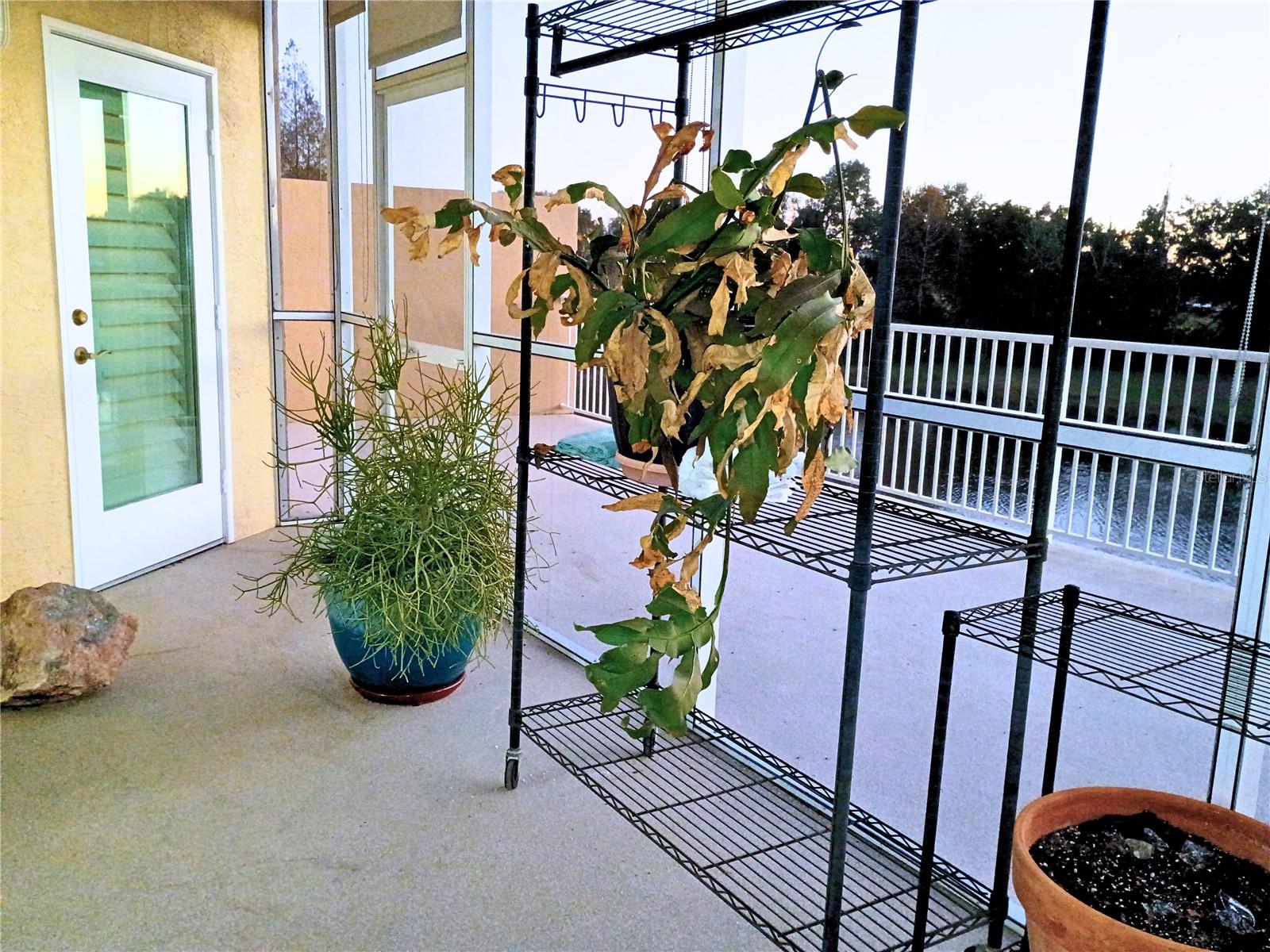 GOLF LAKE CONDO 8 AT EAST BAY - Residential