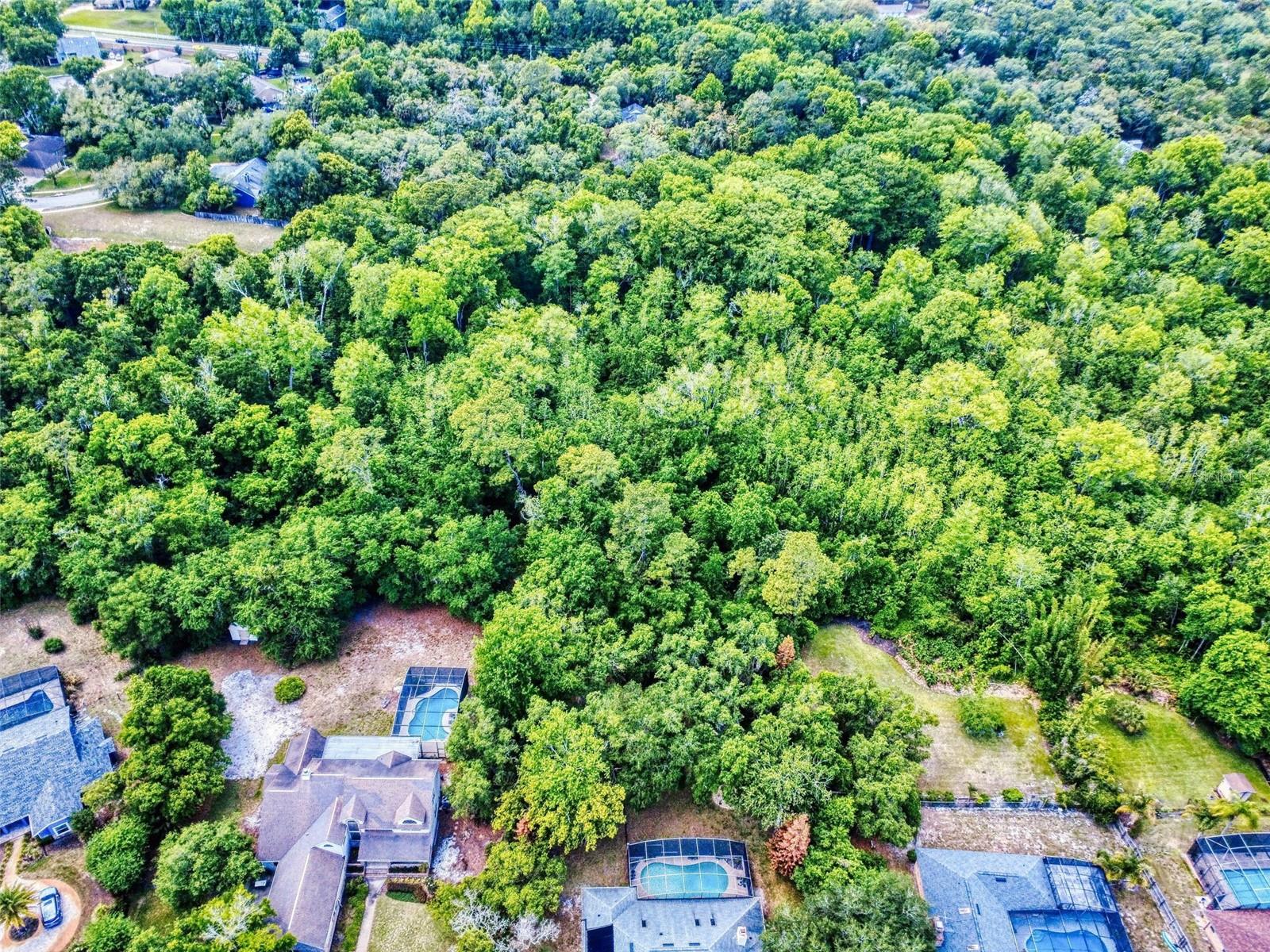 CARDINAL OAKS PH 2 AMD - Residential