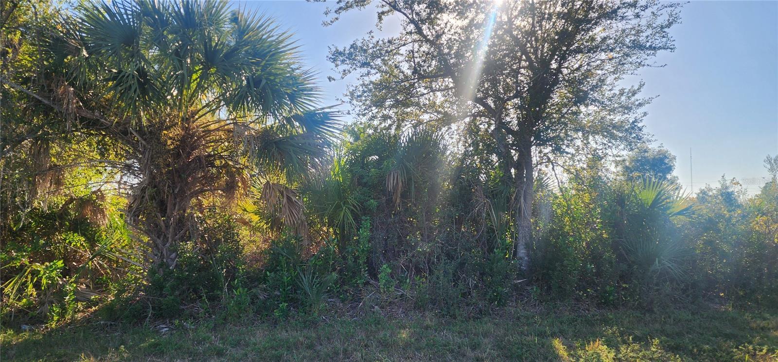 PORT CHARLOTTE SEC 058 - Land