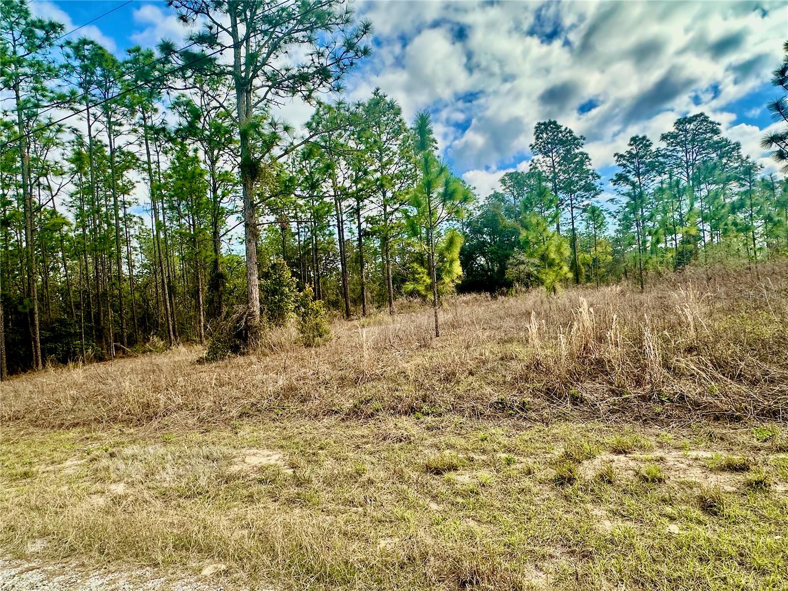 AMAZING OPPORTUNITY!! Vacant1/4 acre lot not far from one of Dunnellon and Ocala Area most beautiful natural resources of RAINBOW RIVER with its' natural springs. Not far from boating, kayaking, fishing, swimming, paddle boarding as well as scuba diving and enjoy hiking, biking and wildlife at one of the areas State Parks. Including, Just a few miles away from the Goethe State Forest and the tidewater trails. Hiking, horse back riding, camping, and more. An outdoorsman dream location! The property is located in Rainbow Lakes Estates which is in the earlier stages of devlopment.