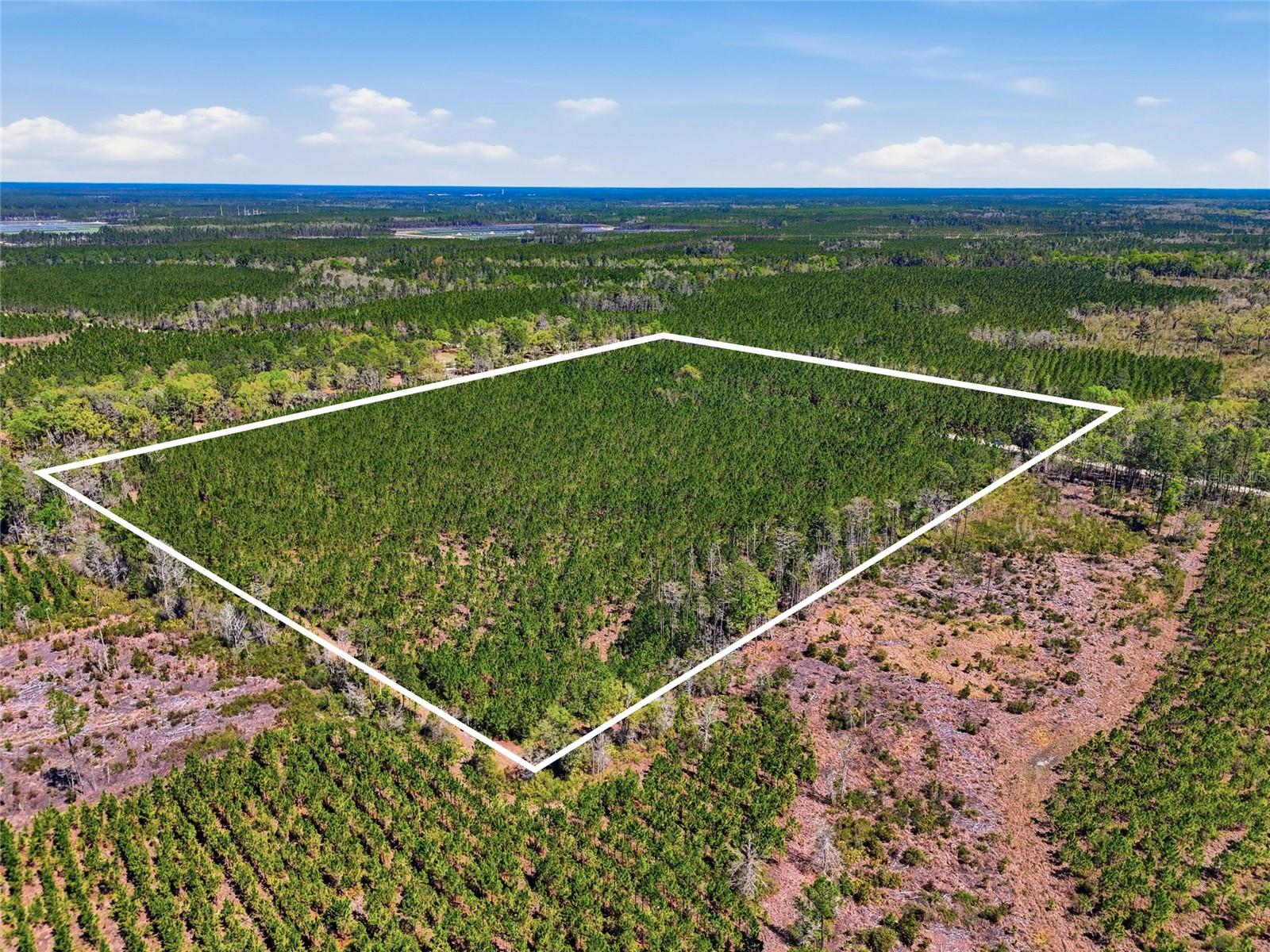 TBD SE POUNDS HAMMOCK ROAD