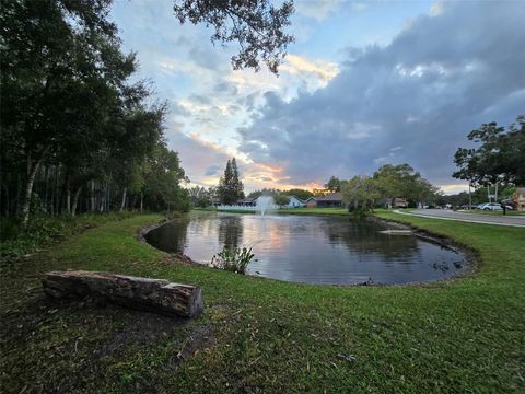 A home in PALM HARBOR